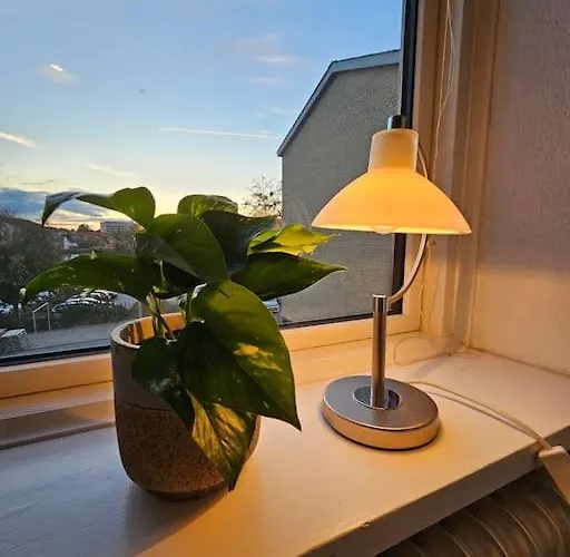 公寓 Med Altan Og Gratis Parkering 奥尔堡