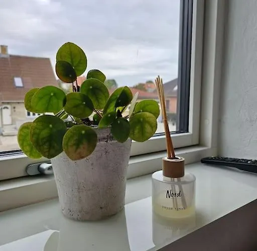 Med Altan Og Gratis Parkering * 奥尔堡