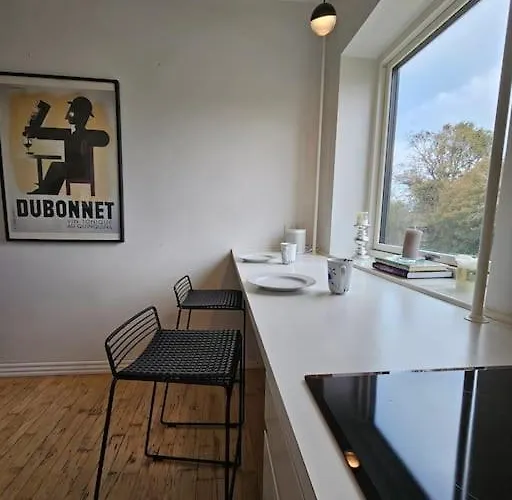 公寓 Med Altan Og Gratis Parkering 奥尔堡